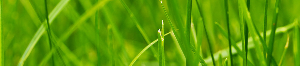 免费ddos平台攻击